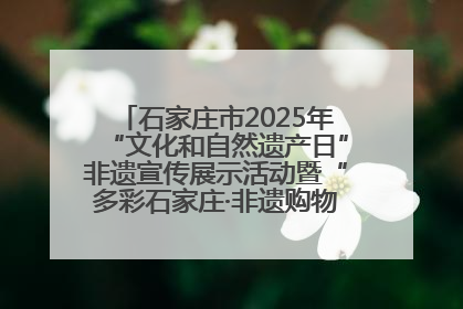 石家庄市2025年“文化和自然遗产日”非遗宣传展示活动暨“多彩石家庄·非遗购物节”倒计时1天
